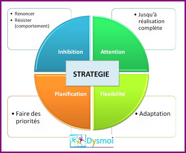 les fonctions exécutives